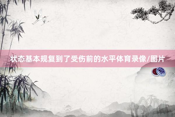 状态基本规复到了受伤前的水平体育录像/图片