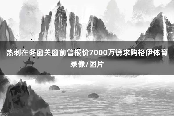 热刺在冬窗关窗前曾报价7000万镑求购格伊体育录像/图片