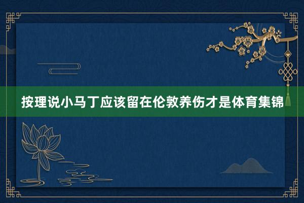 按理说小马丁应该留在伦敦养伤才是体育集锦