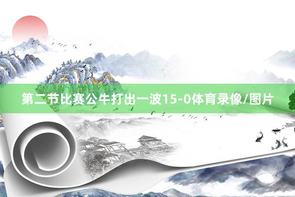 第二节比赛公牛打出一波15-0体育录像/图片