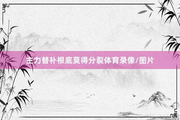主力替补根底莫得分裂体育录像/图片