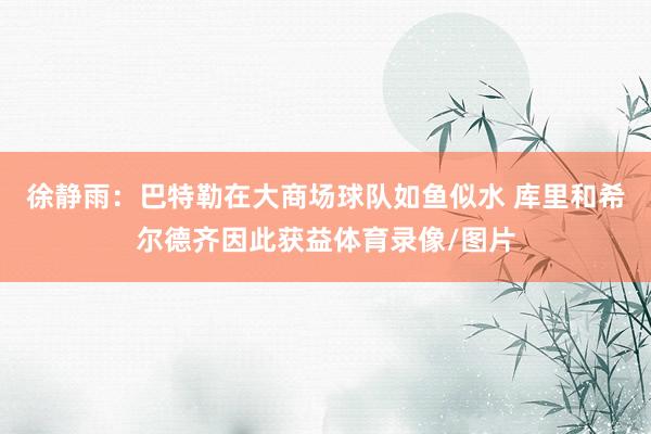徐静雨：巴特勒在大商场球队如鱼似水 库里和希尔德齐因此获益体育录像/图片
