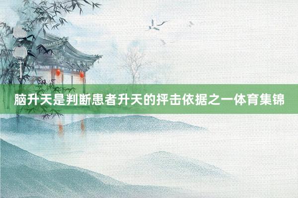 脑升天是判断患者升天的抨击依据之一体育集锦