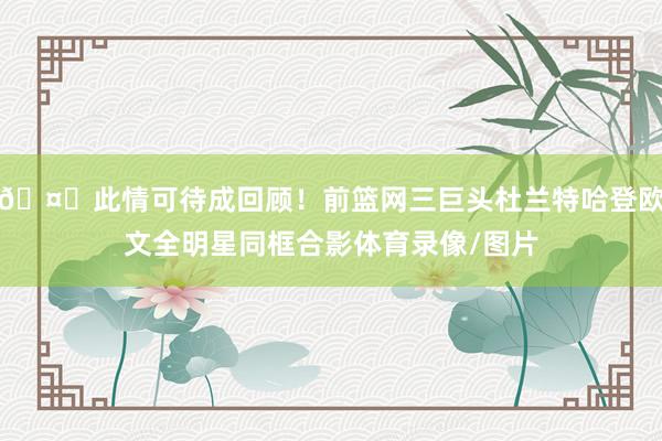 🤗此情可待成回顾！前篮网三巨头杜兰特哈登欧文全明星同框合影体育录像/图片