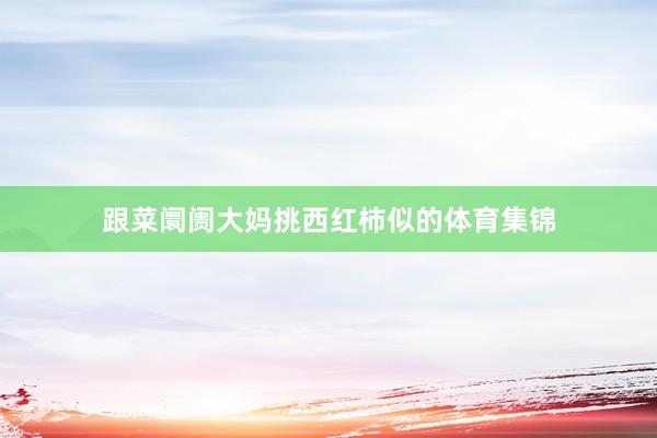 跟菜阛阓大妈挑西红柿似的体育集锦