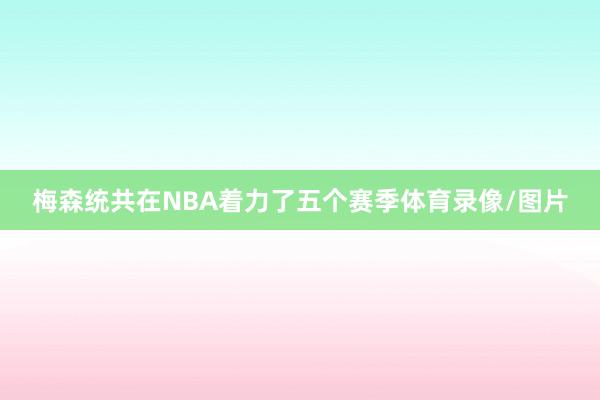 梅森统共在NBA着力了五个赛季体育录像/图片