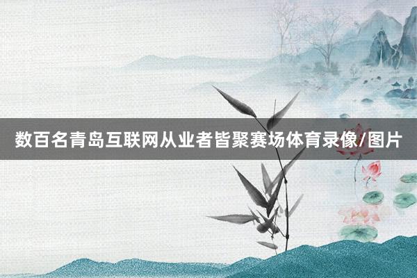 数百名青岛互联网从业者皆聚赛场体育录像/图片